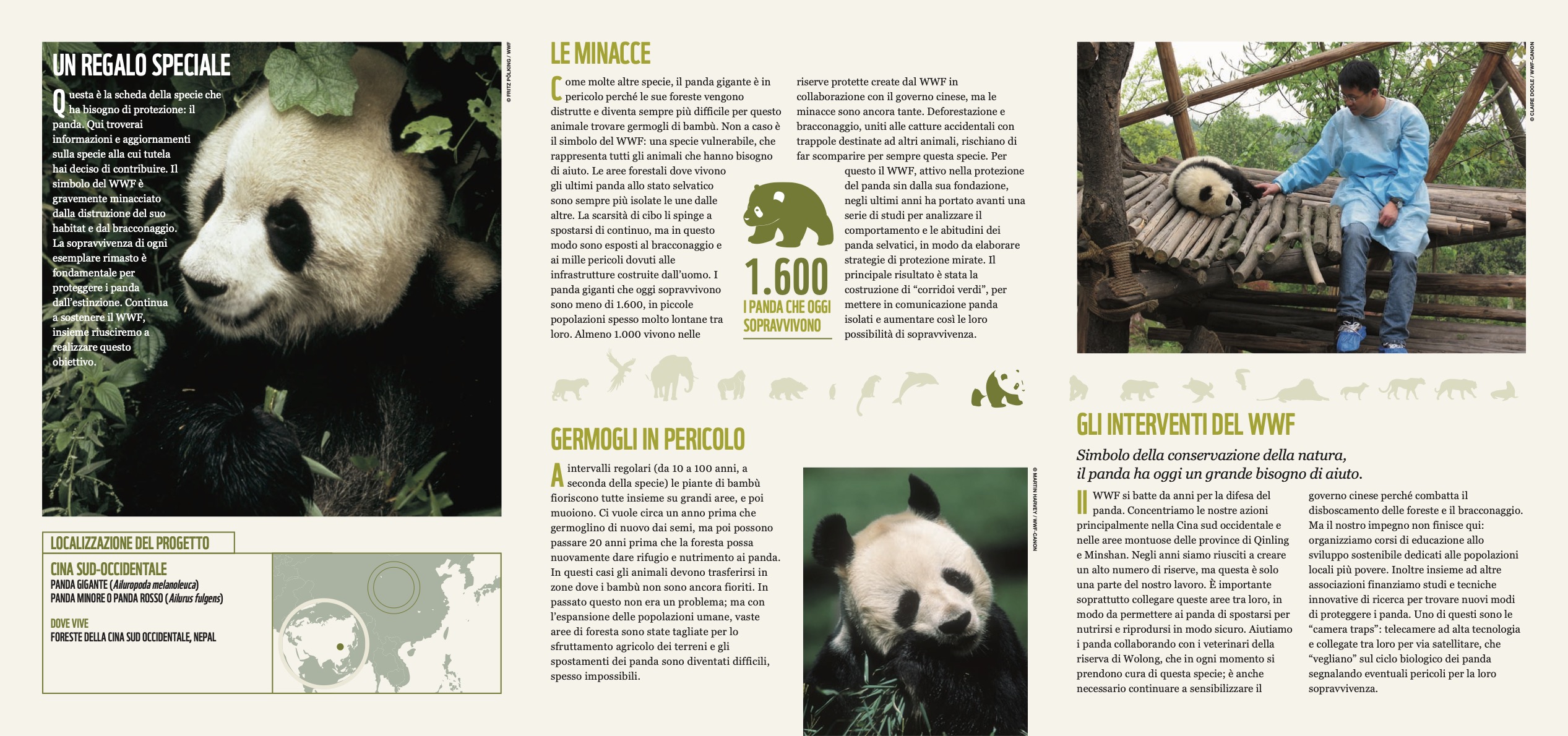 folder adozione panda 2